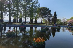 IMG_20260411_170256