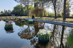 IMG_20260411_170329
